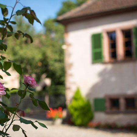 Gite **** Le Meyerhof Rorschwihr Екстер'єр фото
